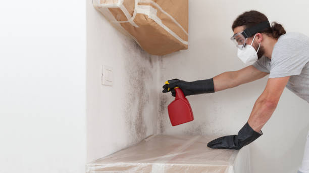 Professional Bathroom Mold Removal technician working in Union City, GA