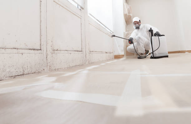 24/7 Emergency Bathroom Mold Removal experts in Union City, GA