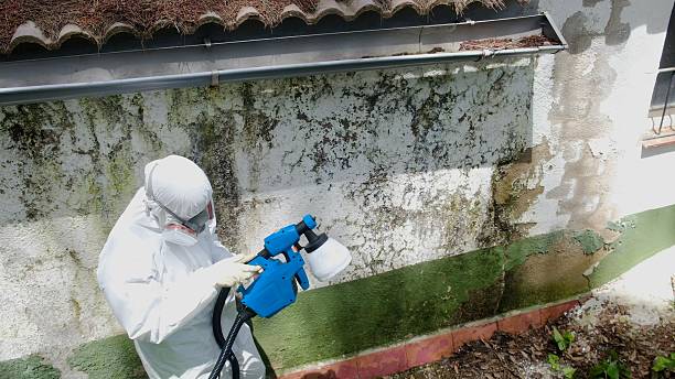 Top rated local Bathroom Mold Removal specialists in Union City, GA